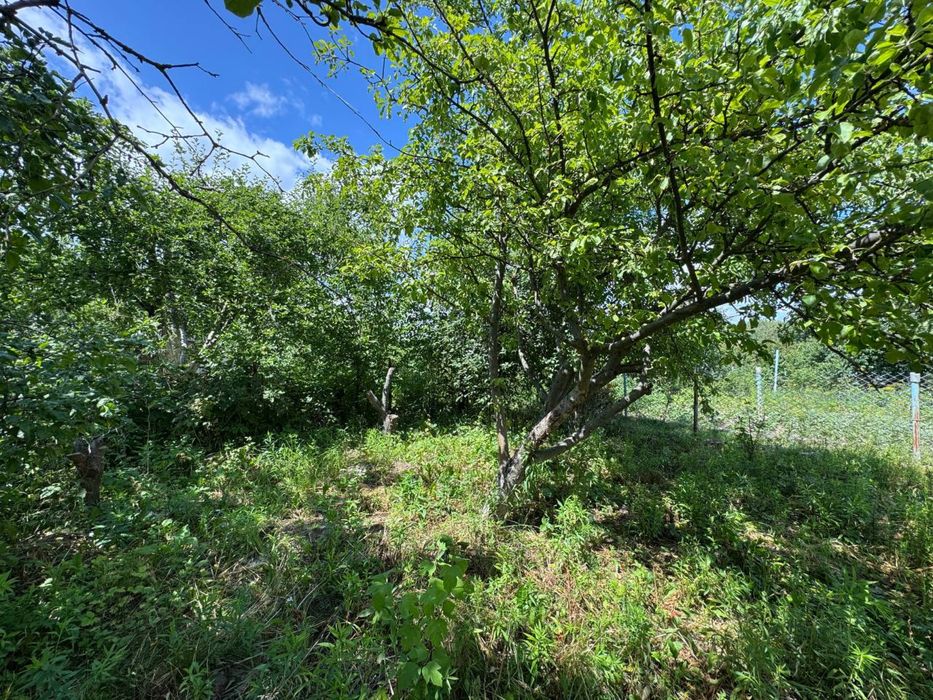 Продаж Дачі в Городищі