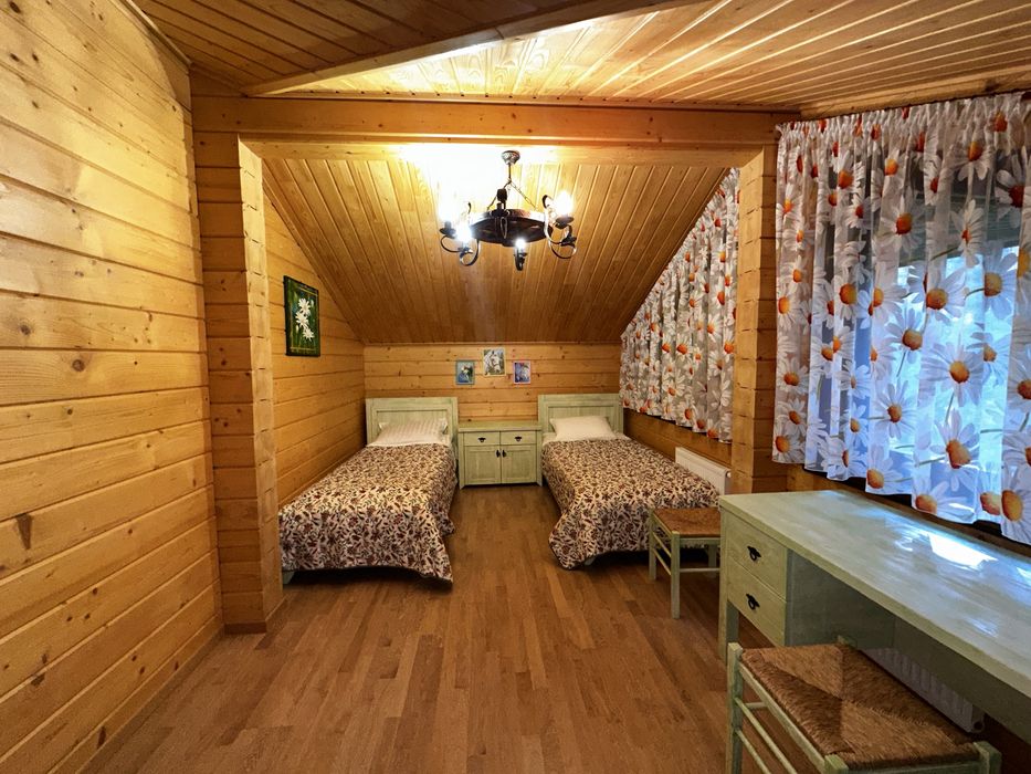 Будинок з басейном та гостьовим будинком в тихому місці Дмитрівка