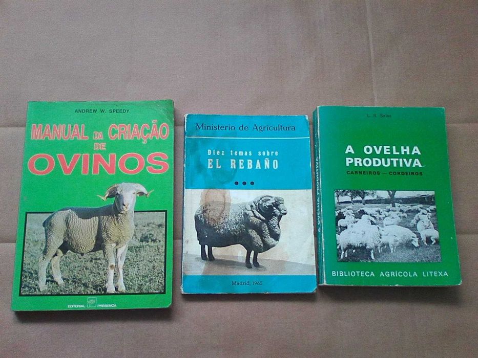 Ovelha criaçao Carneiros cordeiros - conjunto