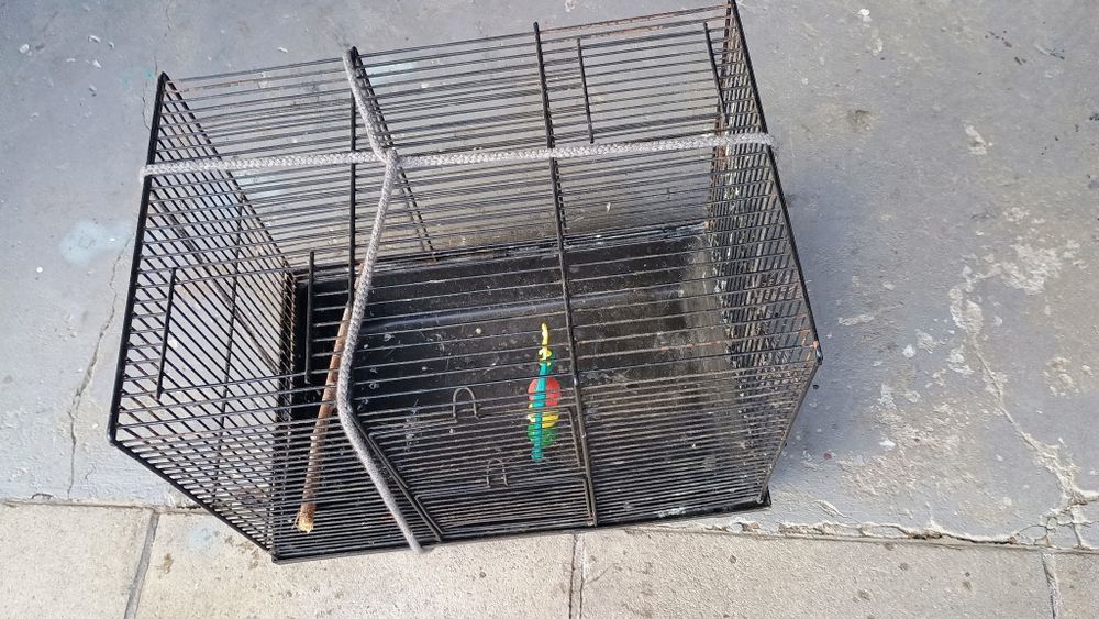 Klatka dla ptaków niekompletna