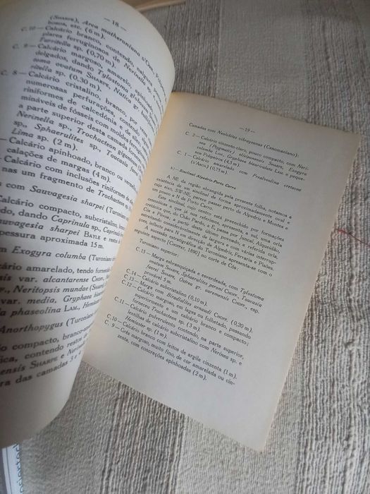 carta geológica de Alcobaça em 1 9 6 3