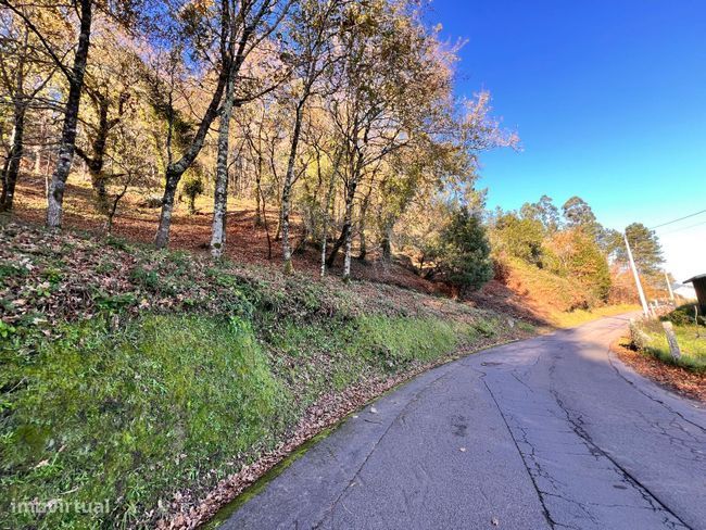 Terreno, Ponte da Barca, Vila Nova de Muía e Paço Vedro de Magalhães