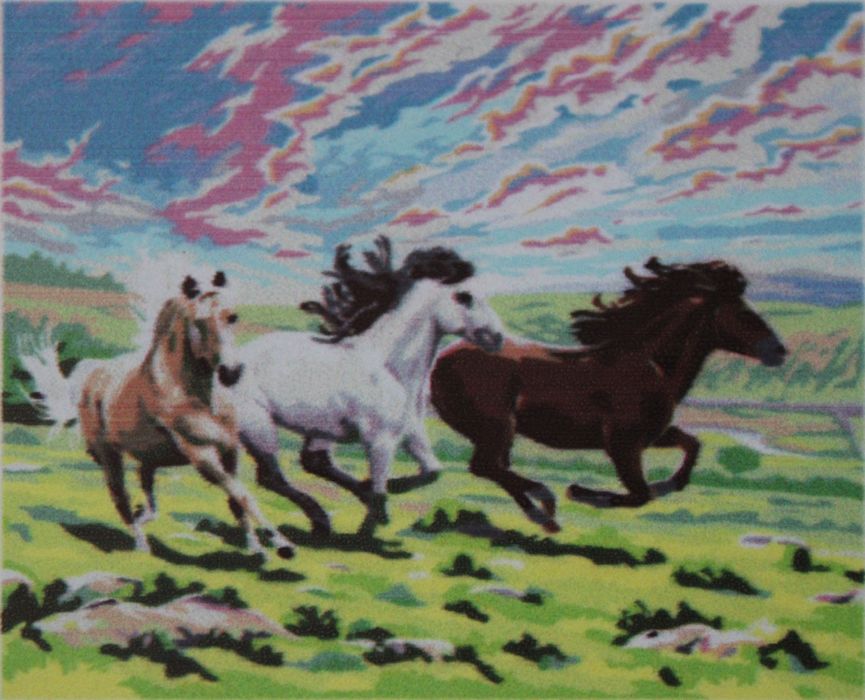 Malowanka po numerach 50x40 konie obraz na ramie