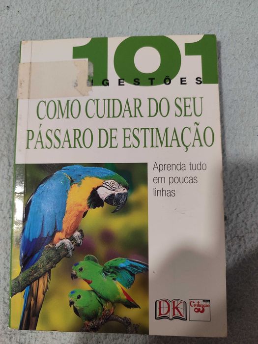 como cuidar do seu pássaro de estimação