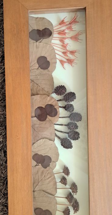 Rectangular Frame Cerne64584340733441121