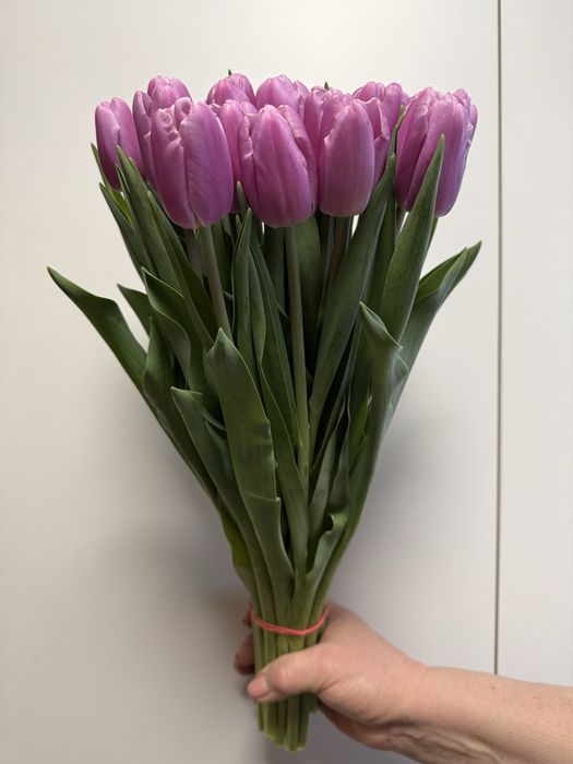 ТЮЛЬПАНИ Оптом та  Роздріб на 8 Березня!