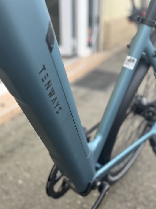 Tenways rower elektryczny na pasku