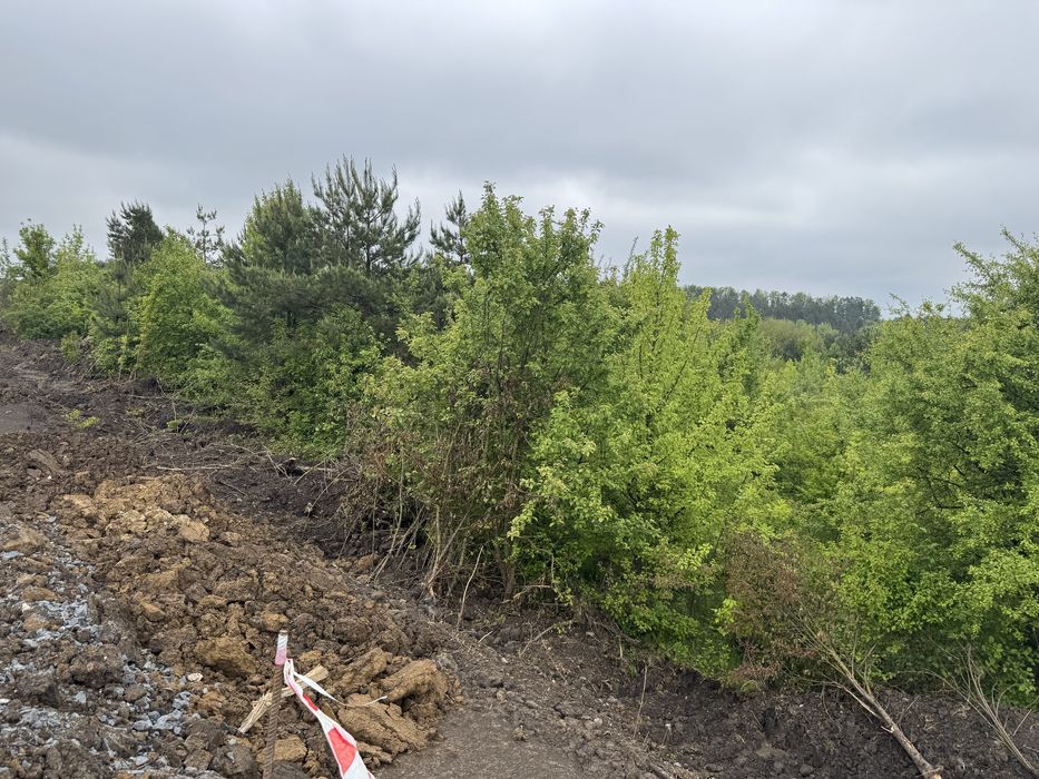 Продаж земельноі Ділянки 30 соток Епіцентр Ружична