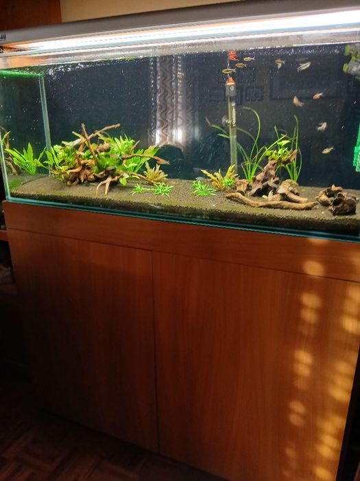 Aquário completo+oferta