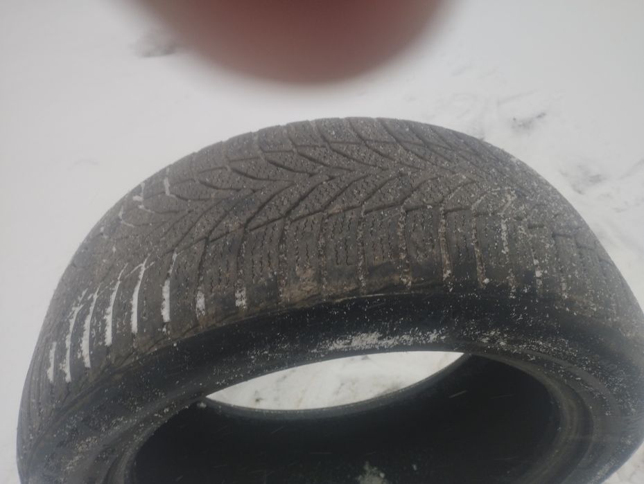 Шины Nexen WinGuard sport 2