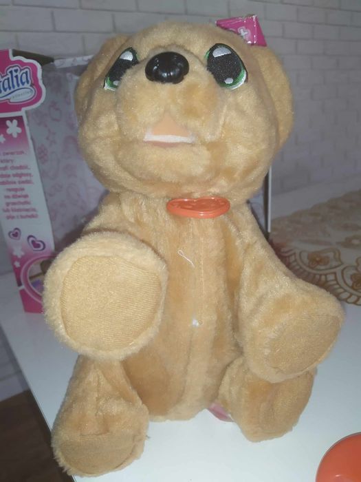 Chodzący niedźwiadek interaktywny Natalia