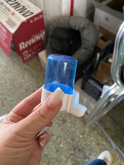 Acessórios para Pássaros – Canários e Outras Aves de Pequeno Porte