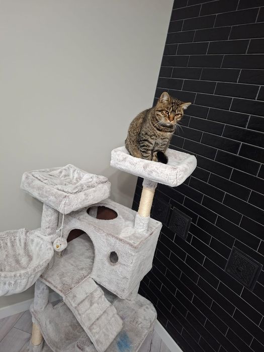 Домік для котика