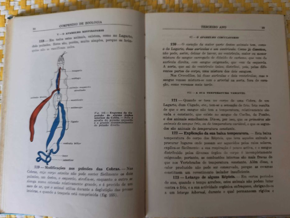 Compêndio de Zoologia  - 2º Ciclo Liceal – 3º Ano