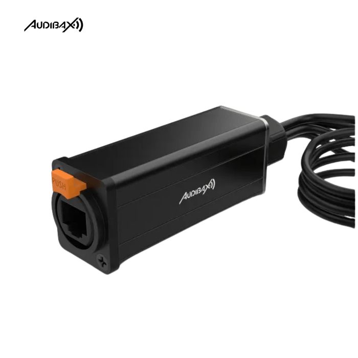 Audibax RJ-4 XLR Cabo Fêmea de 5 pinos