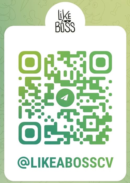 Світшот Boss. Реглан Boss. Светр Boss