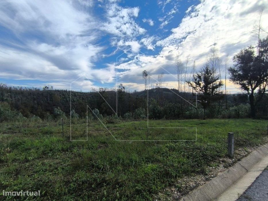 Terreno com 4.000 m² Oportunidade de Investimento — Valongo do Vouga, Aveiro
