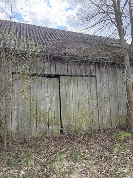 Stodoła do rozebrania na drewno