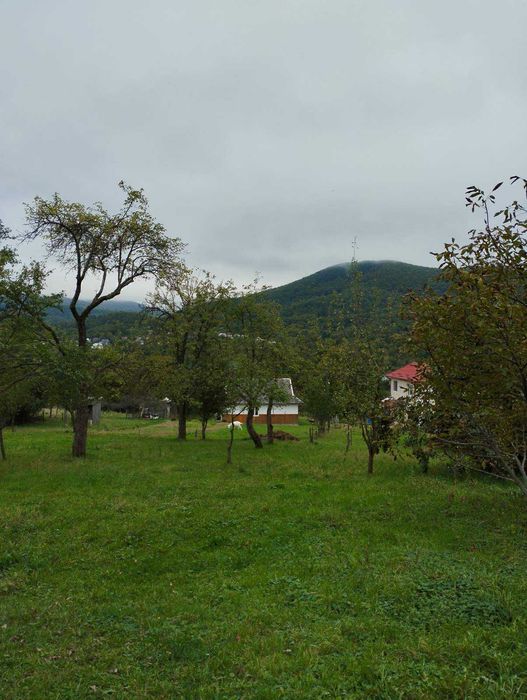 Чудовий будинок в курортному місті Косів на великій ділянці!