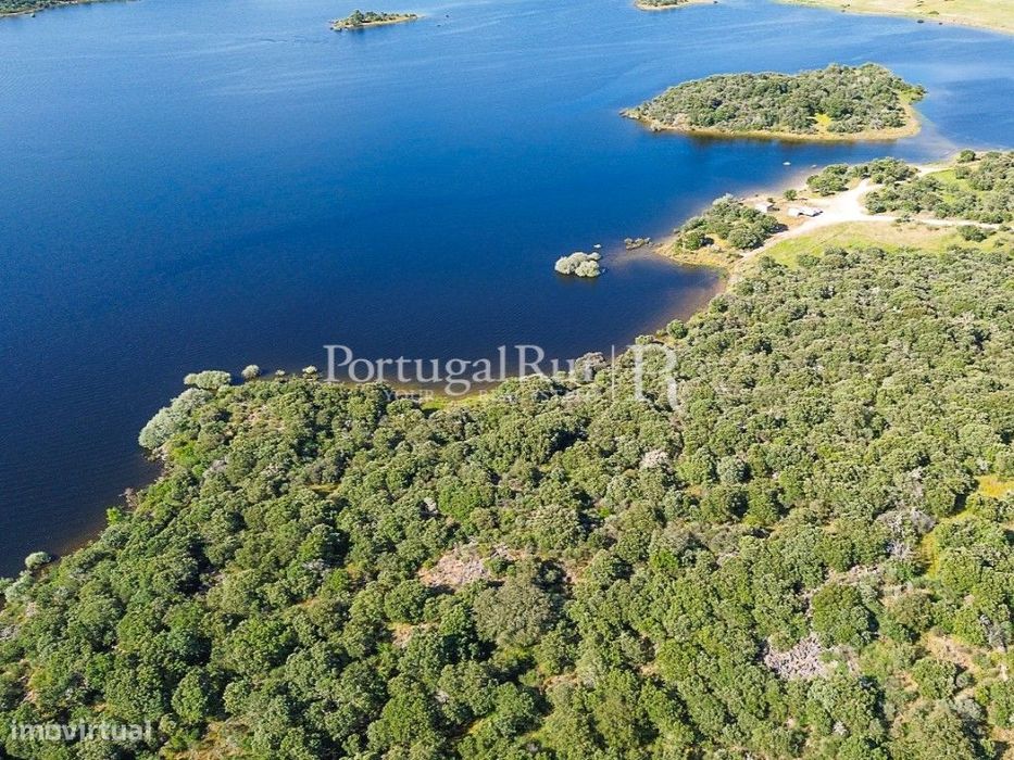 Terreno com 11,5ha na barragem de Idanha-a-Nova