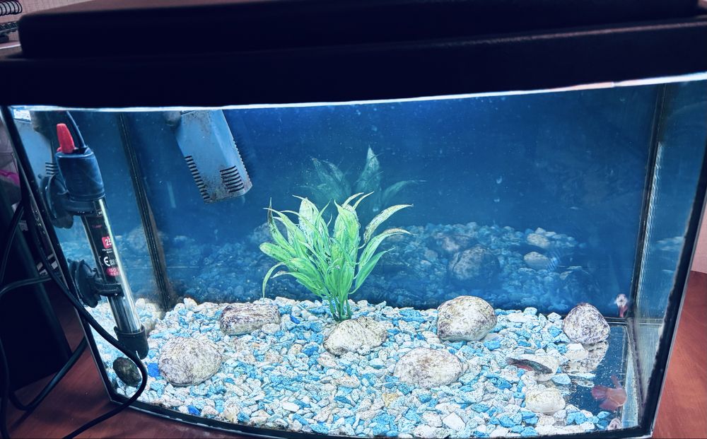 Аквариум 20л панорамный