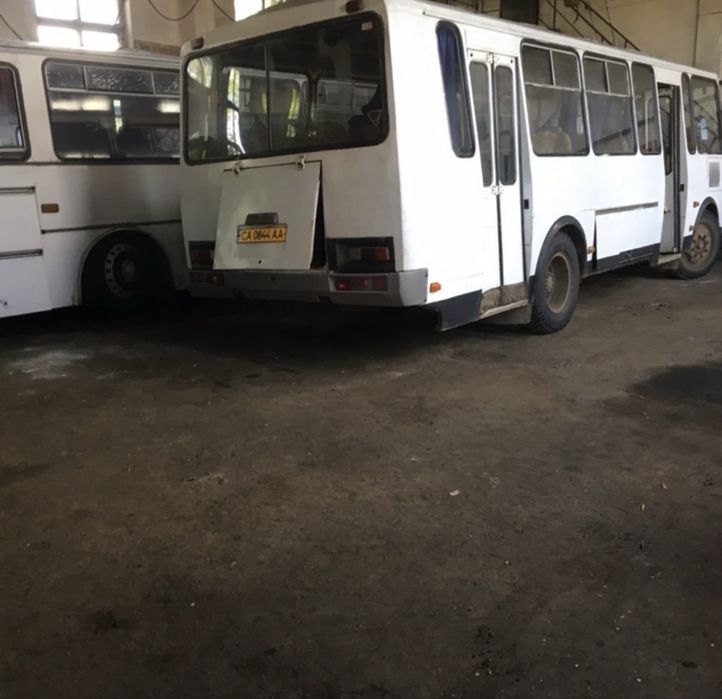 паз 32054, паз 4234,