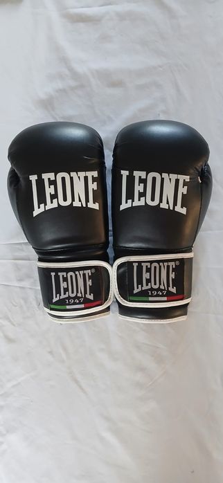 2 Luvas LEONE e um protector de pernas LEONE