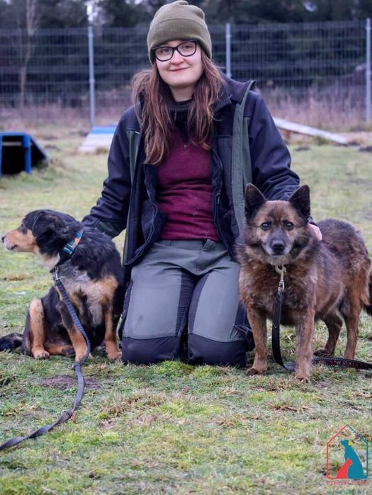 Kochany, czuły, nieduży seniorek Wacław, lubi psy i koty ADOPTUJ