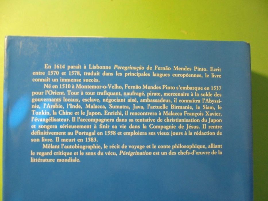 Viale (Robert)Fernão Mendes Pinto-Pérégrination