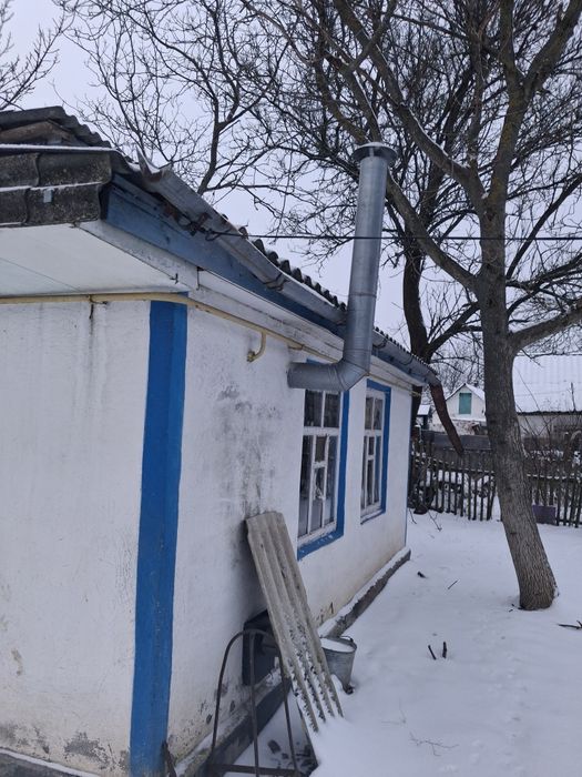 Продається будинок в селі Дмитрушки.