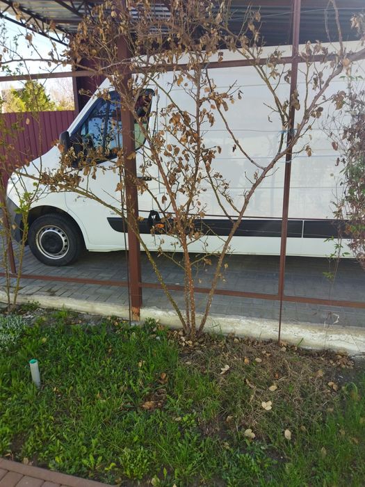 Продам бус Рено Мастер