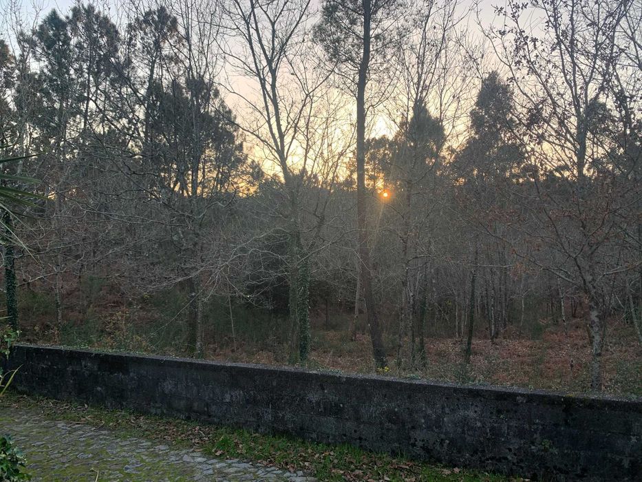 Terreno para construção com 1980m², Meixedo, Viana do Castelo