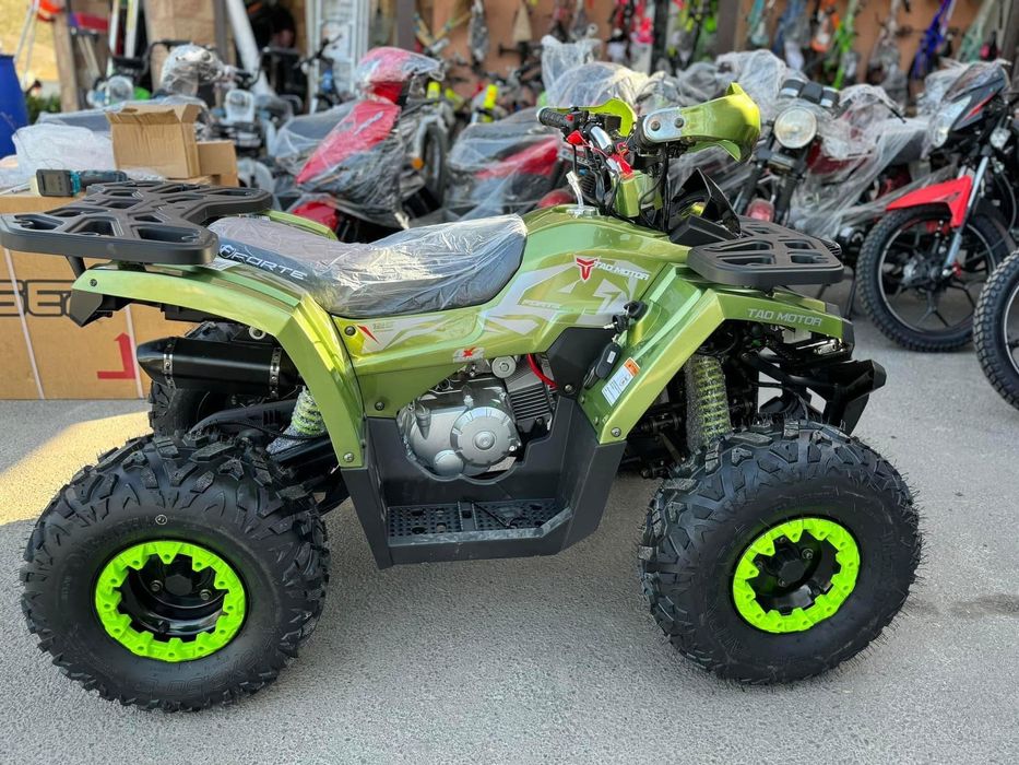 Квадроцикл Forte Braves 125/150200