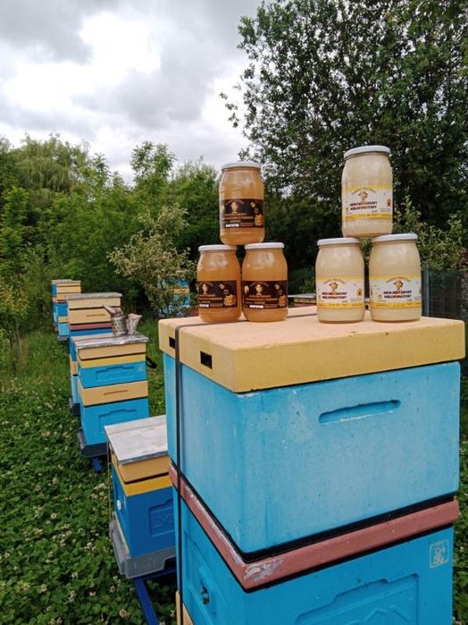 Miód z wlasnej pasieki