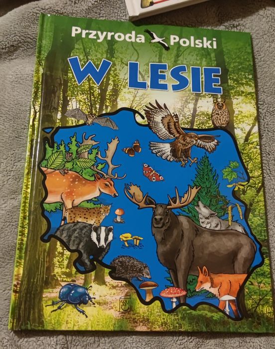 Przyroda Polski Zwierzęta i zwierzęta w lesie NOWE