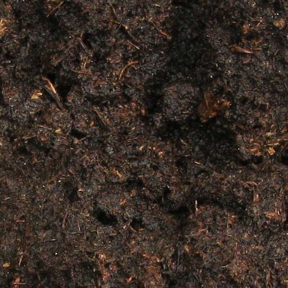 Torf oddam za wykopanie stawu