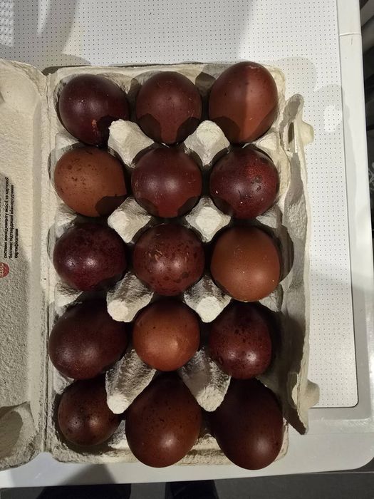 Інкубаційне яйце Марана