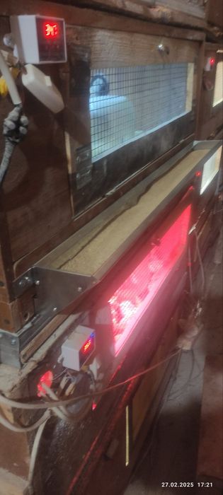 Бункерная кормушка циплята кури перепілки кролі корм