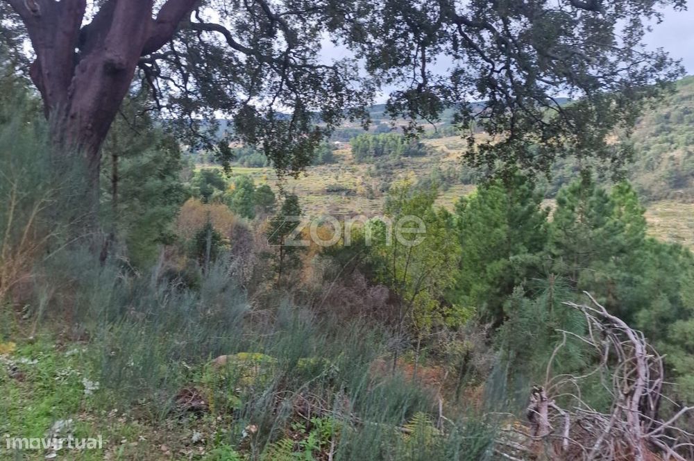 Prédio Rústico à Venda – com sobreiro e Ruina