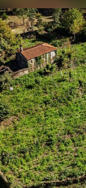 Quinta centenária em Real, Covas Vila Nova de Cerveira
