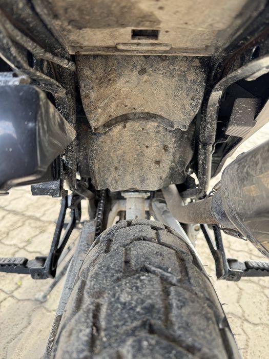 Musstang Challenge GT 250 (2024)