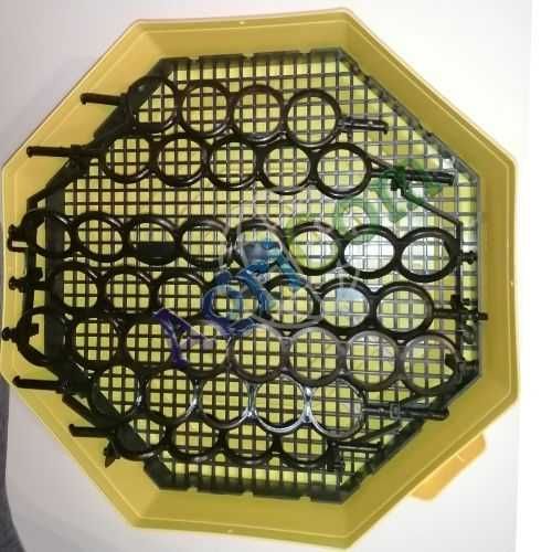 Elektryczny inkubator do jaj CLEO 5 klujnik, wylęgarka