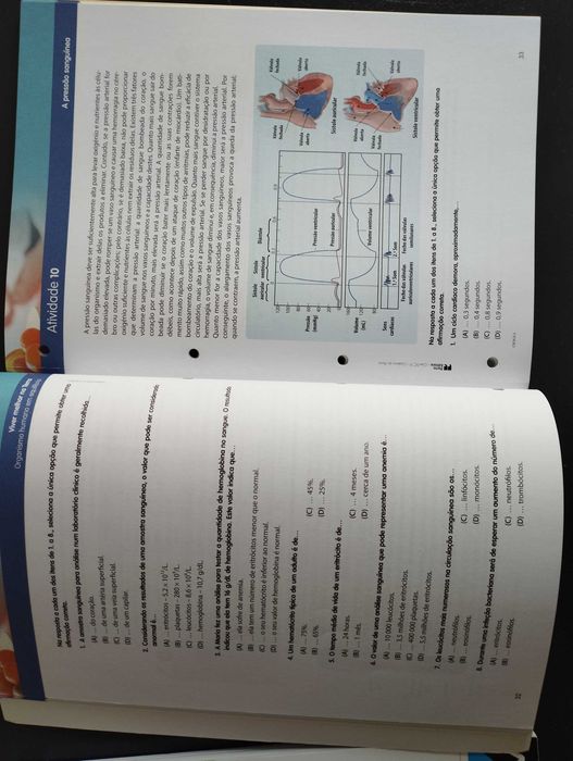 Cientic 9 -caderno de atividades - NOVO