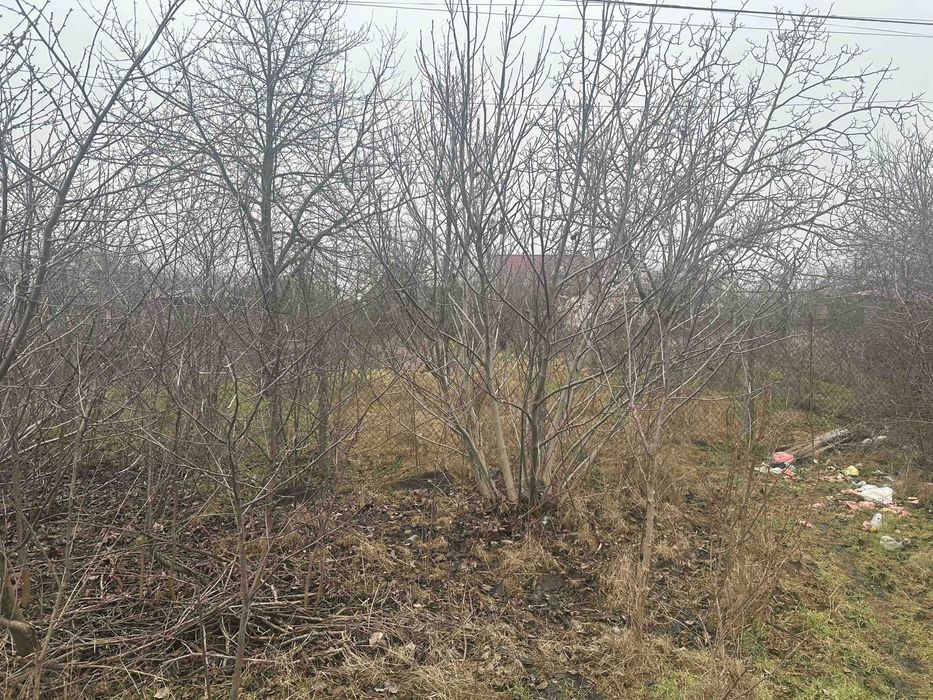 Продам дом- дачу  в с. Светлое