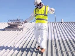 Фарбуваня Миття дахів гараражів паканів ангарів