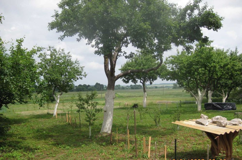 Будинок та земельна ділянка 0,5 га в дуже гарному місці близько Львова