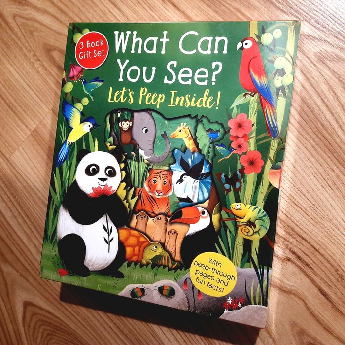 Zestaw What Can You See? 3 książki sensoryczne po angielsku