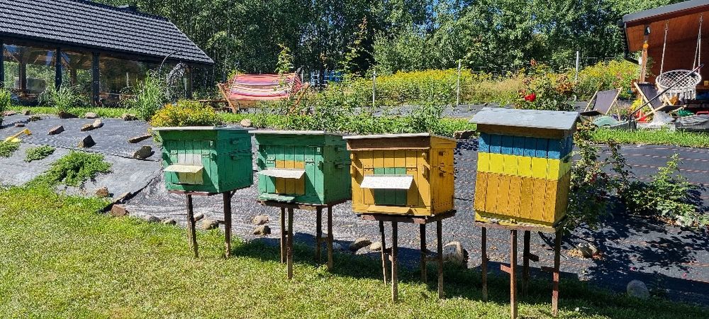 Sprzedam ULE ul wielkopolski