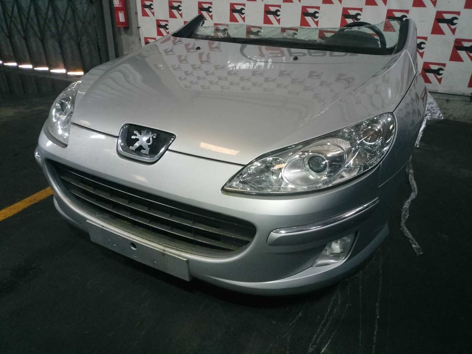 Frente Completa Peugeot 407 2.0 HDi 2007 #F07