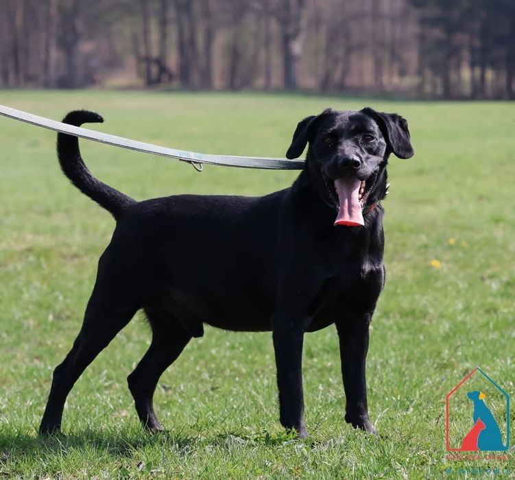 Morti 324/24 - SZUKA DOMU!